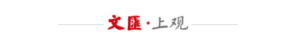 世界杯全球运动用品供应平台 冠军之路走得如斯安谧，上海男篮的2025-26赛季写满后光
