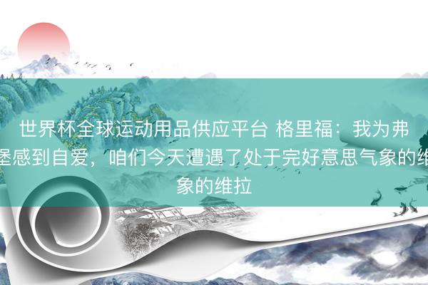 世界杯全球运动用品供应平台 格里福：我为弗赖堡感到自爱，咱们今天遭遇了处于完好意思气象的维拉