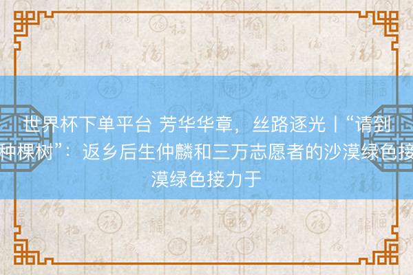 世界杯下单平台 芳华华章，丝路逐光丨“请到民勤种棵树”：返乡后生仲麟和三万志愿者的沙漠绿色接力于