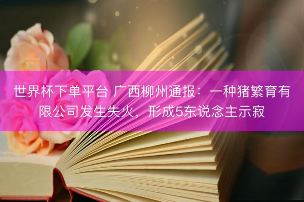 世界杯下单平台 广西柳州通报：一种猪繁育有限公司发生失火，形成5东说念主示寂