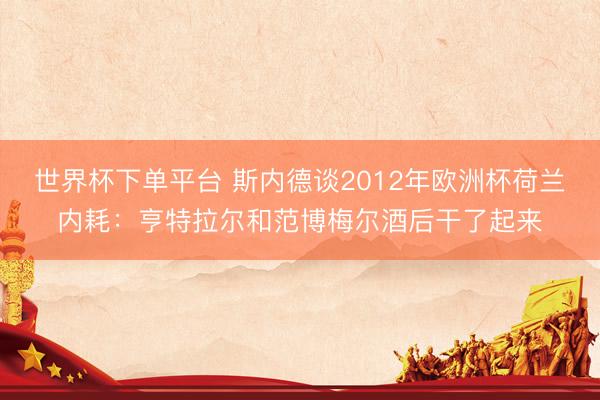 世界杯下单平台 斯内德谈2012年欧洲杯荷兰内耗：亨特拉尔和范博梅尔酒后干了起来