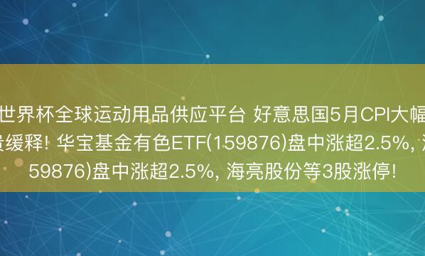 世界杯全球运动用品供应平台 好意思国5月CPI大幅降温， 通胀压力显贵缓释! 华宝基金有色ETF(159876)盘中涨超2.5%， 海亮股份等3股涨停!