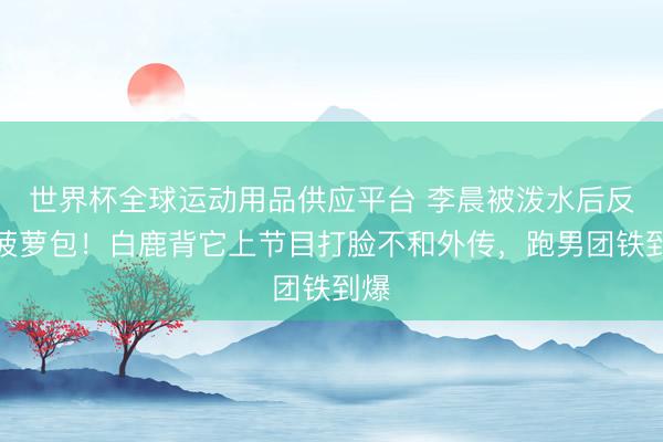 世界杯全球运动用品供应平台 李晨被泼水后反送菠萝包！白鹿背它上节目打脸不和外传，跑男团铁到爆