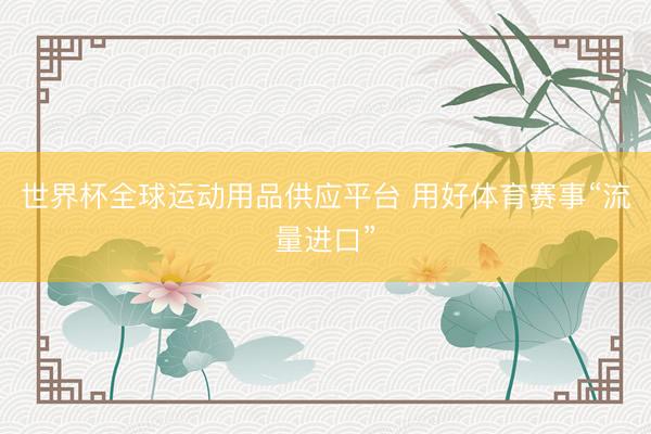 世界杯全球运动用品供应平台 用好体育赛事“流量进口”
