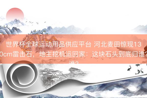 世界杯全球运动用品供应平台 河北麦田惊现130cm雷击石,地主挖机运回家:这块石头到底归谁?